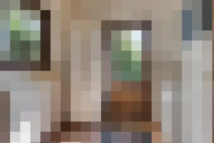 Sint Janswei 61 A Deinum thumbnail 13