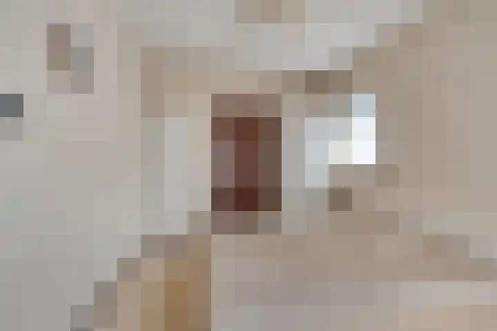 Sint Janswei 61 A Deinum thumbnail 14