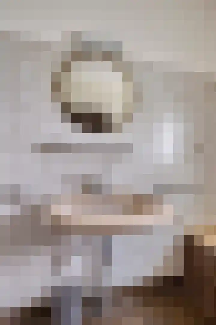 Sint Janswei 61 A Deinum thumbnail 17