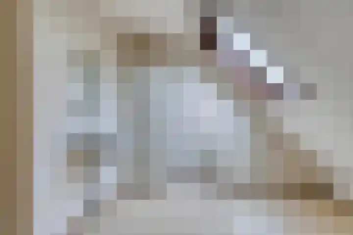 Sint Janswei 61 A Deinum thumbnail 23