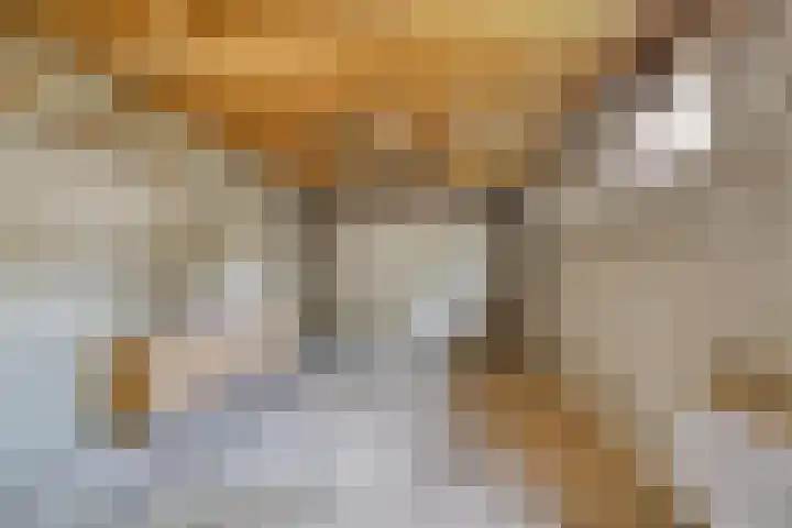 Sint Janswei 61 A Deinum thumbnail 28