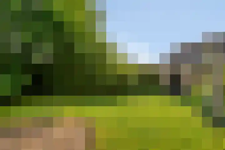 Sint Janswei 61 A Deinum thumbnail 29