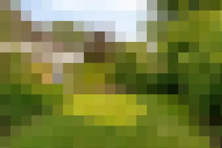 Sint Janswei 61 A Deinum thumbnail 32