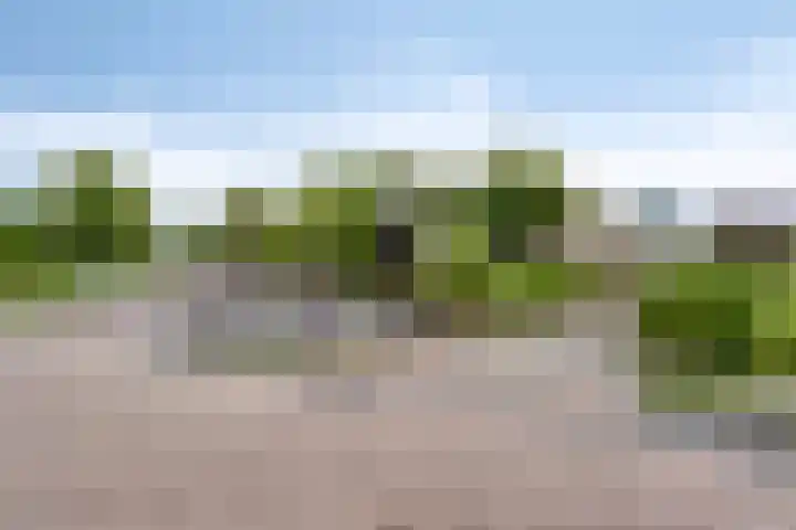 Sint Janswei 61 A Deinum thumbnail 33