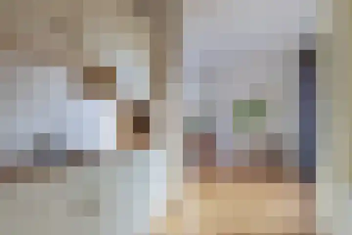 Sint Japiksdyk 7 Winsum thumbnail 15