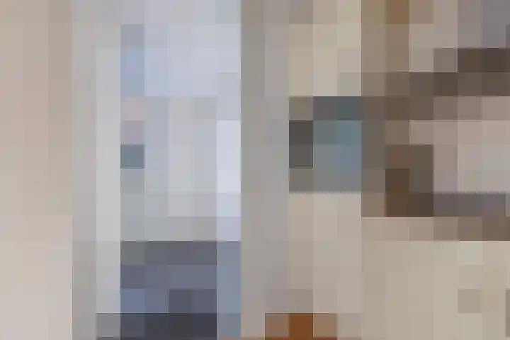 Sint Japiksdyk 7 Winsum thumbnail 17