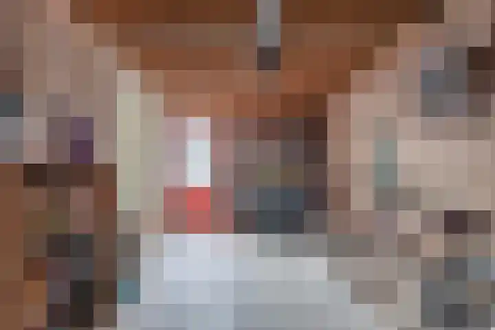 Sint Japiksdyk 7 Winsum thumbnail 21