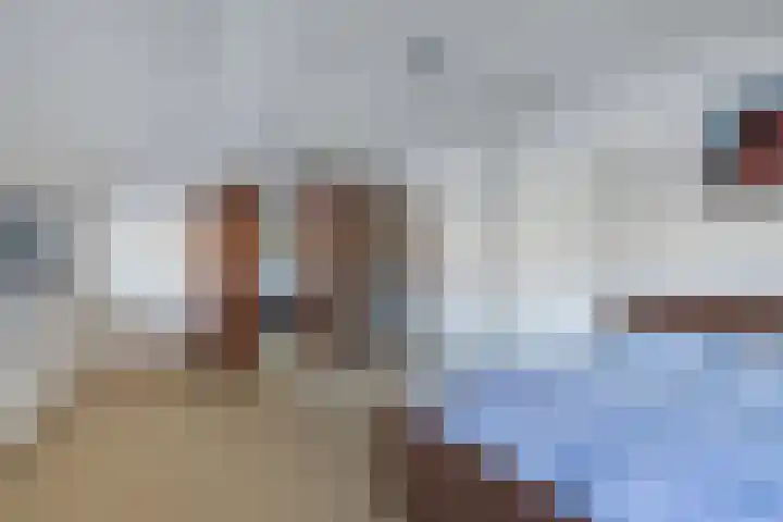 Sint Japiksdyk 7 Winsum thumbnail 27