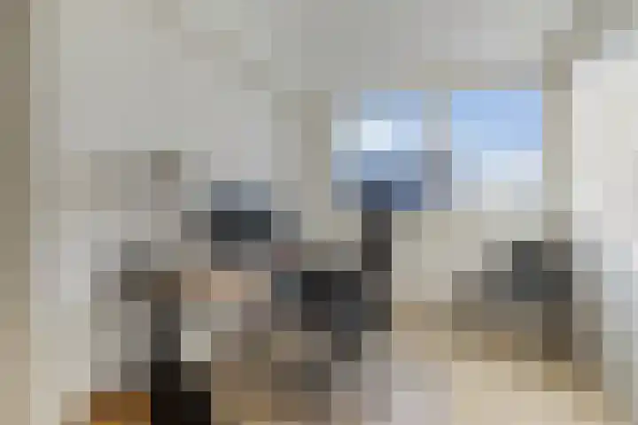 Sint Japiksdyk 7 Winsum thumbnail 28