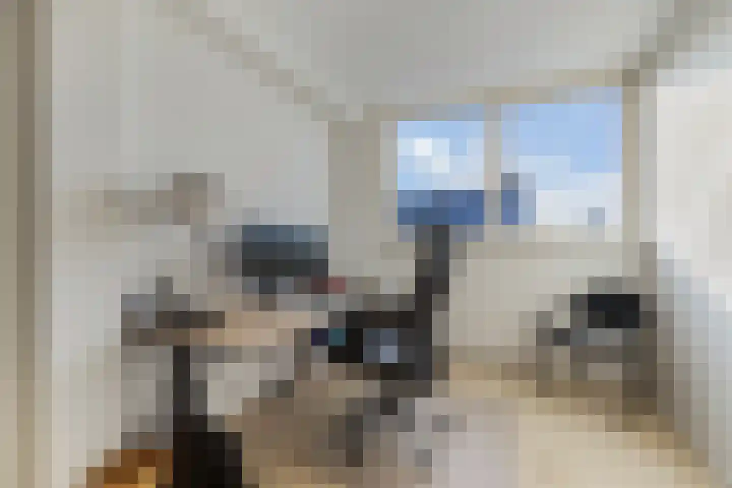 Sint Japiksdyk 7 Winsum thumbnail 29