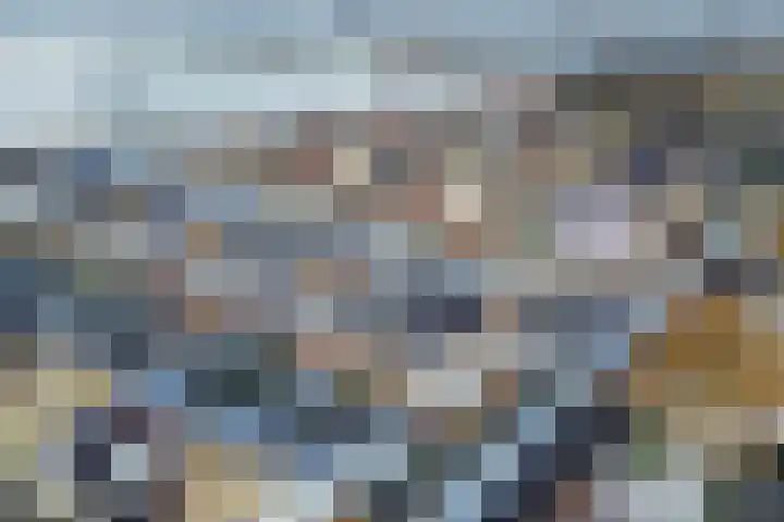 Sint Japiksdyk 7 Winsum thumbnail 43
