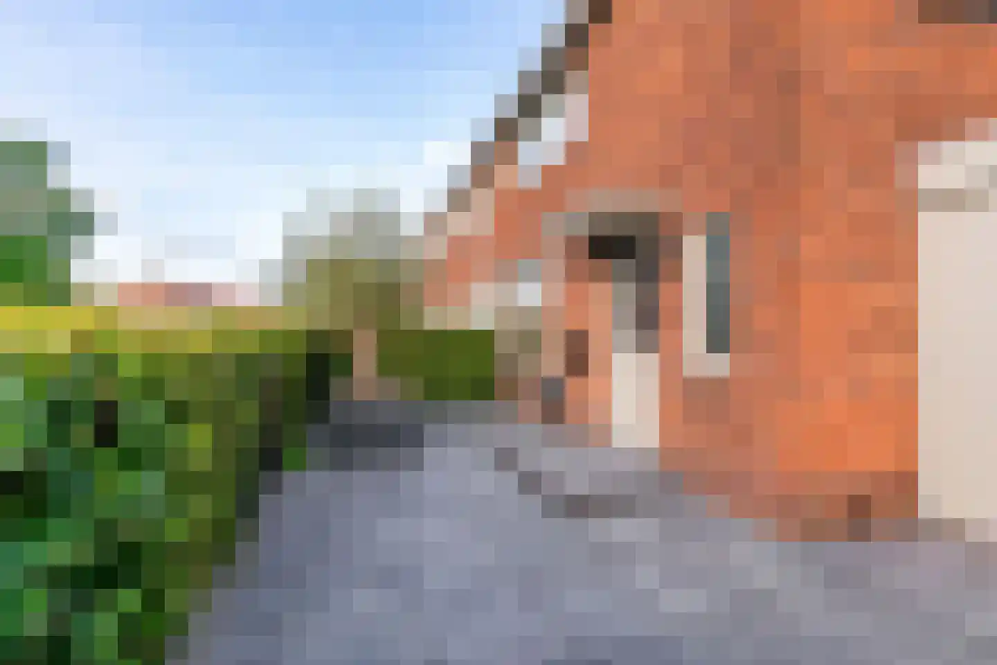 Sint Jeroensweg 43 Noordwijk thumbnail 9