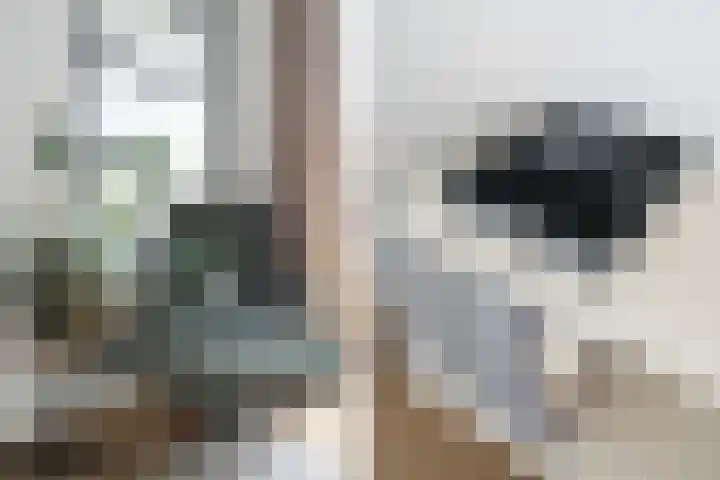Sint-Jobskade 100 Rotterdam thumbnail 18