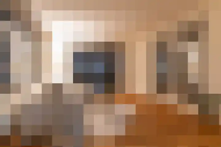 Sint-Jobskade 112 Rotterdam thumbnail 10