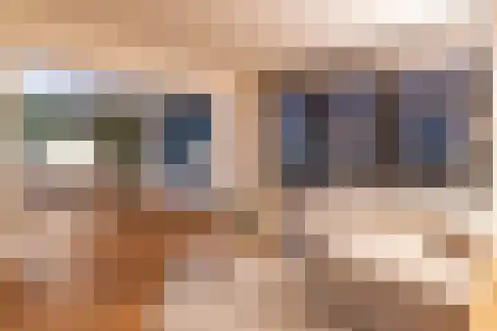 Sint-Jobskade 112 Rotterdam thumbnail 7