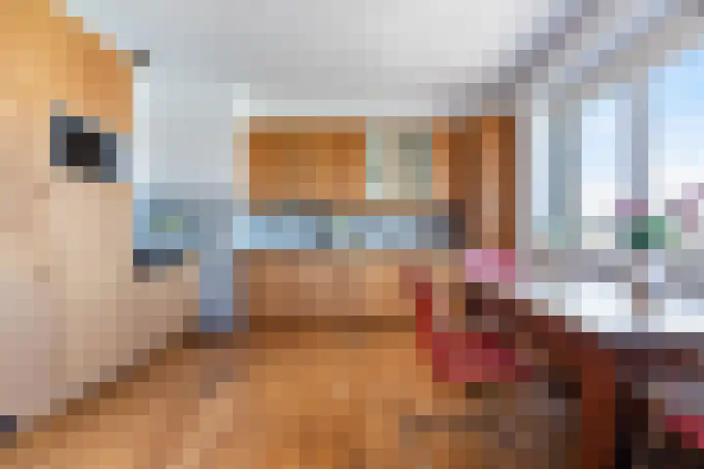Sint-Jobskade 132 Rotterdam thumbnail 19