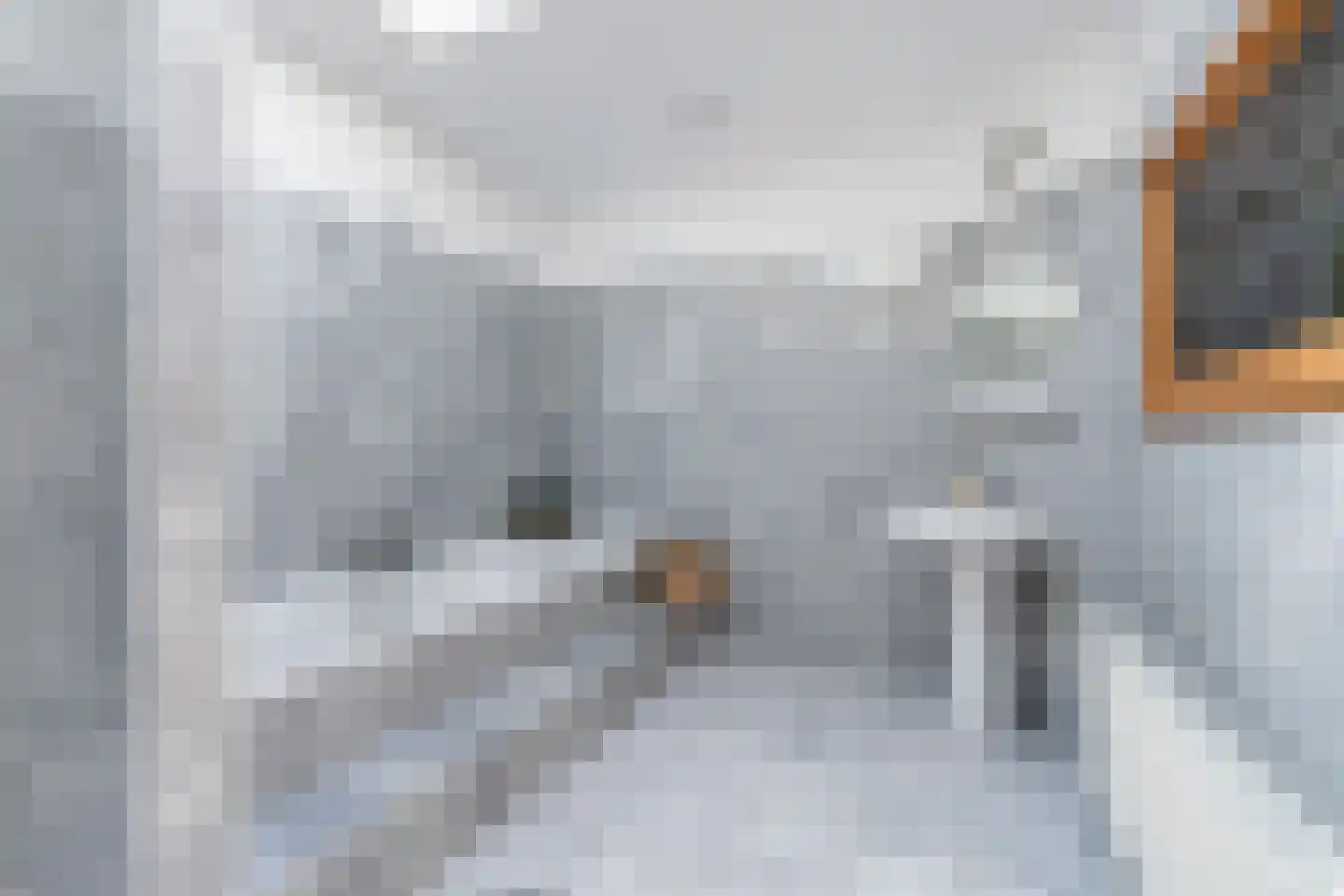 Sint-Jobskade 132 Rotterdam thumbnail 27