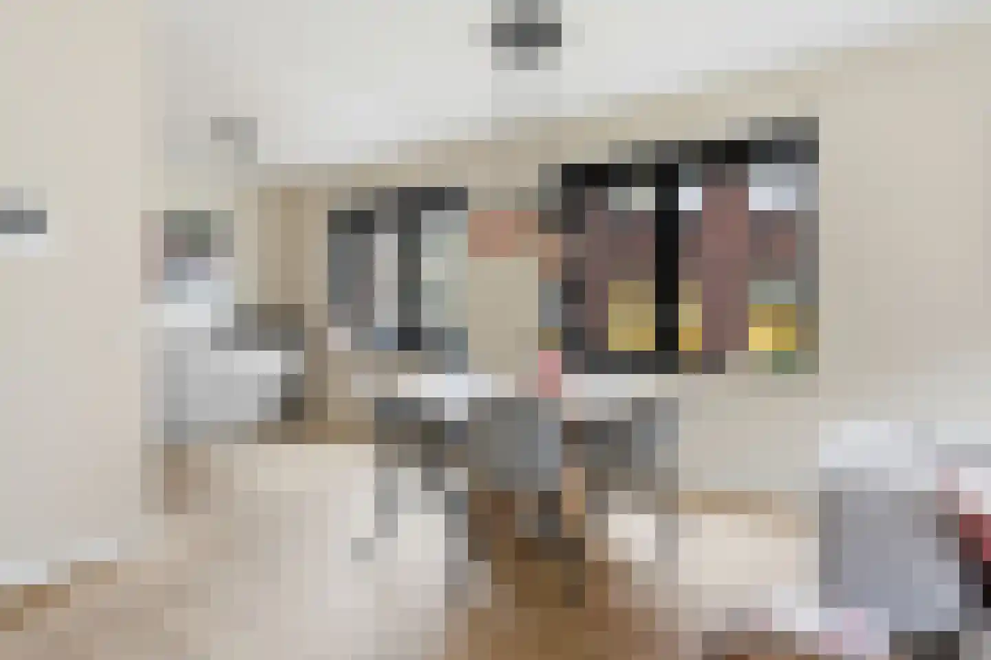 Sint-Jobskade 200 Rotterdam thumbnail 15