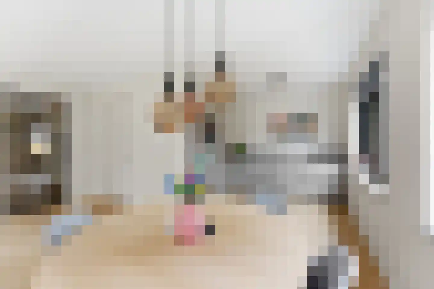 Sint-Jobskade 200 Rotterdam thumbnail 17