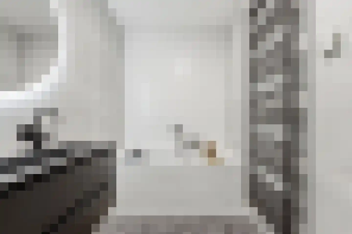 Sint-Jobskade 200 Rotterdam thumbnail 28