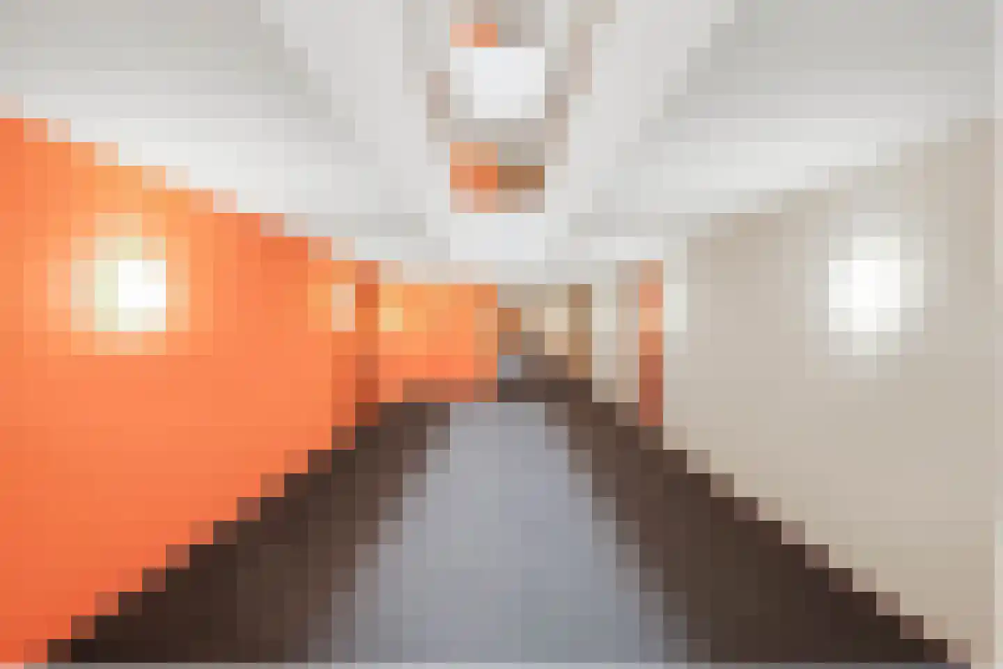 Sint-Jobskade 208 Rotterdam thumbnail 17
