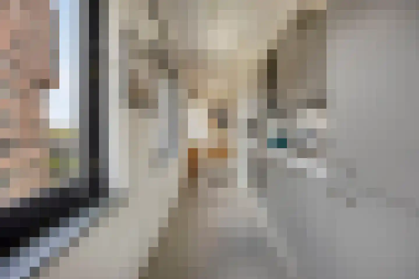 Sint-Jobskade 262 Rotterdam thumbnail 16