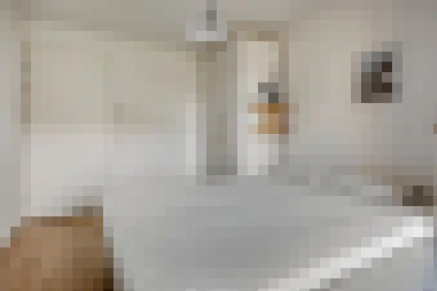 Sint-Jobskade 262 Rotterdam thumbnail 20