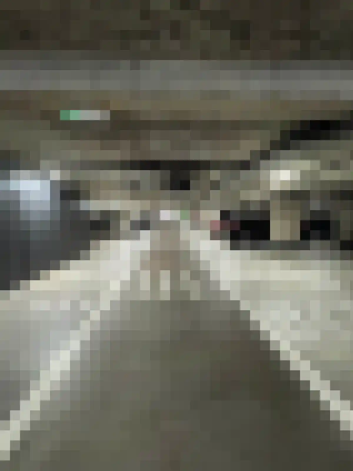 Sint-Jobskade 262 Rotterdam thumbnail 6