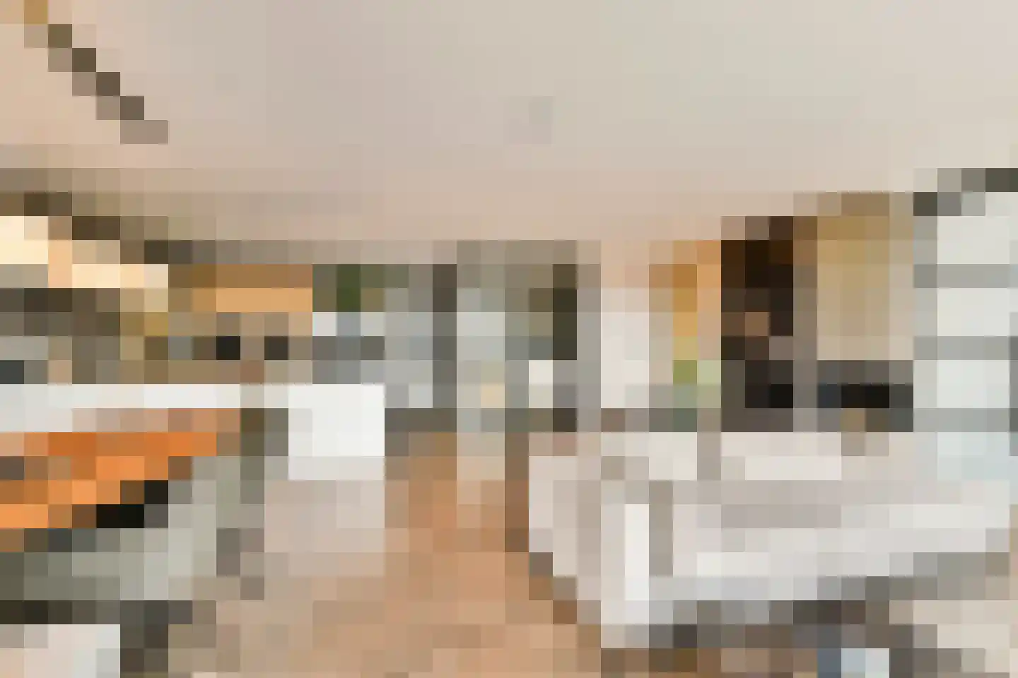 Sint-Jobskade 384 Rotterdam thumbnail 9