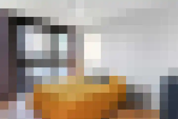 Sint-Jobskade 386 Rotterdam thumbnail 28