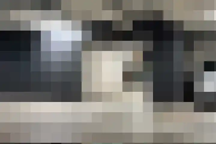 Sint-Jobskade 386 Rotterdam thumbnail 5