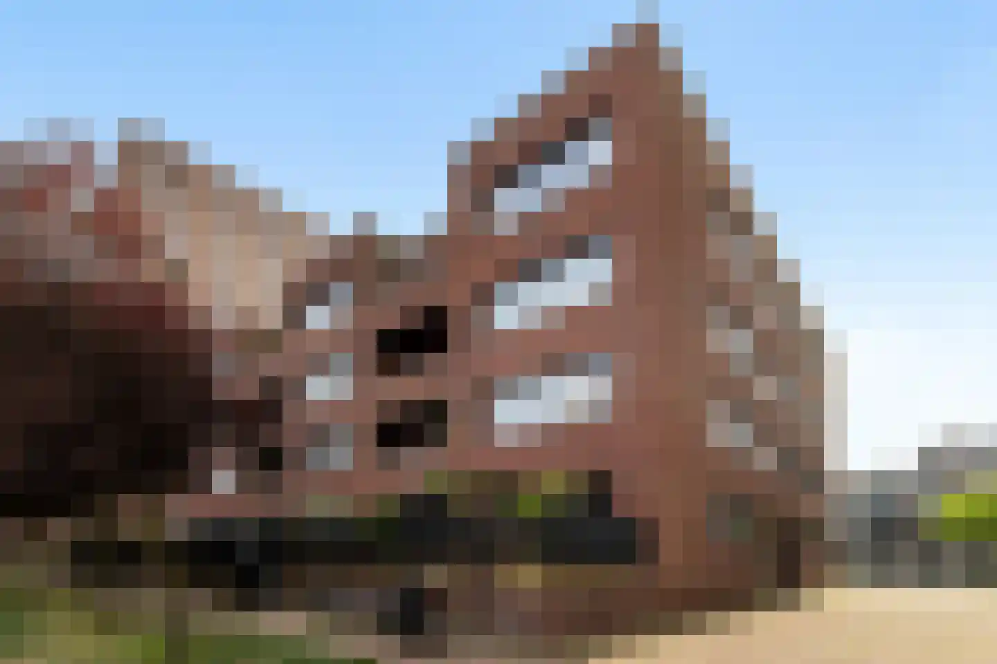 Sint-Jobskade 508 Rotterdam thumbnail 41