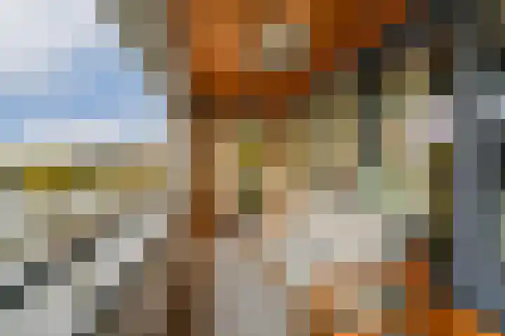 Sint-Jobskade 532 Rotterdam thumbnail 27