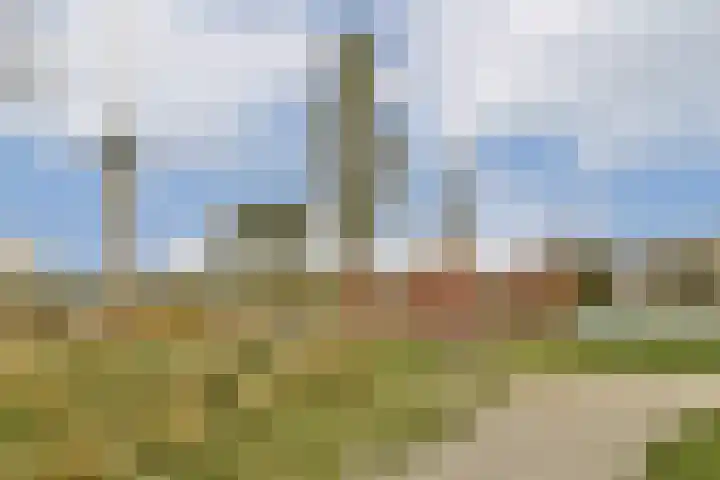 Sint-Jobskade 532 Rotterdam thumbnail 32