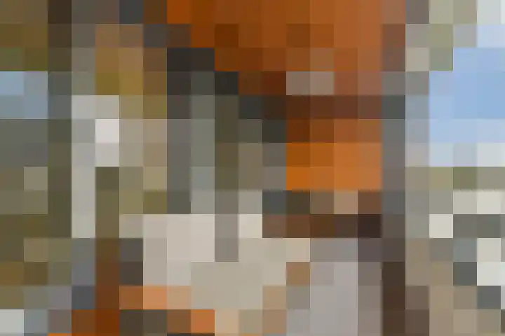 Sint-Jobskade 532 Rotterdam thumbnail 4