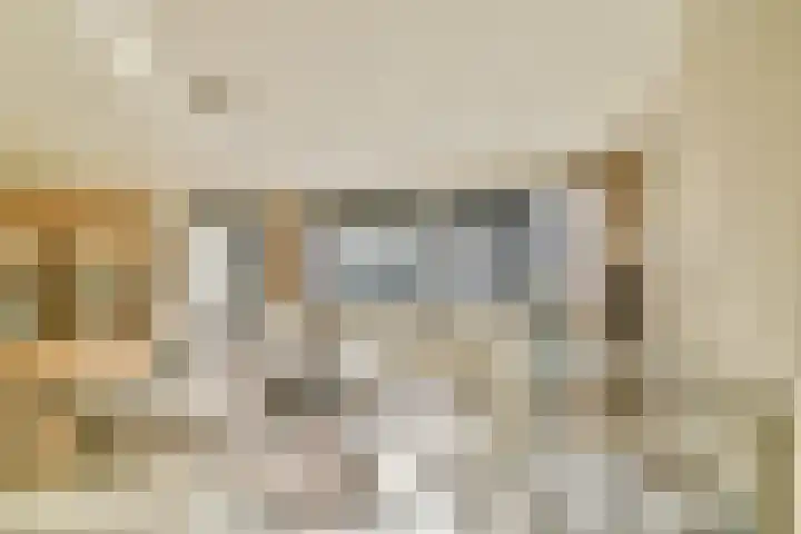 Sint-Jobskade 532 Rotterdam thumbnail 9