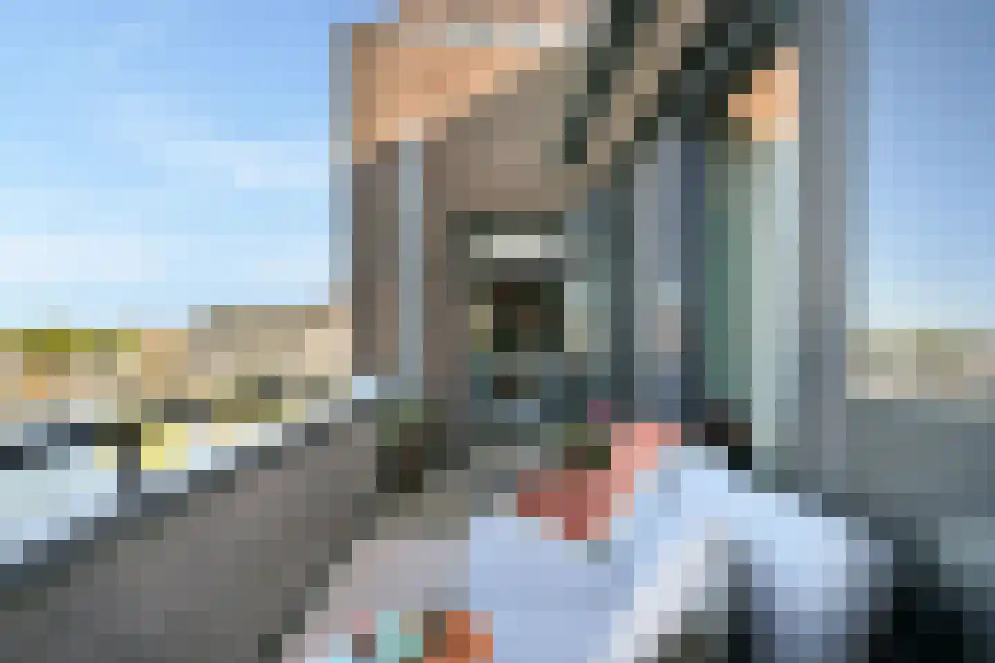 Sint-Jobskade 552 Rotterdam thumbnail 16