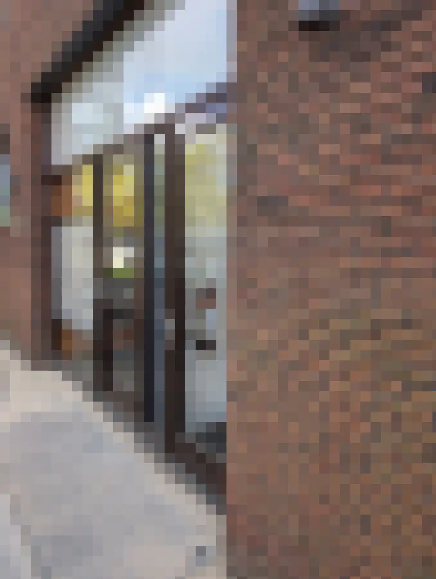 Sint-Jobskade 56 P Rotterdam thumbnail 5