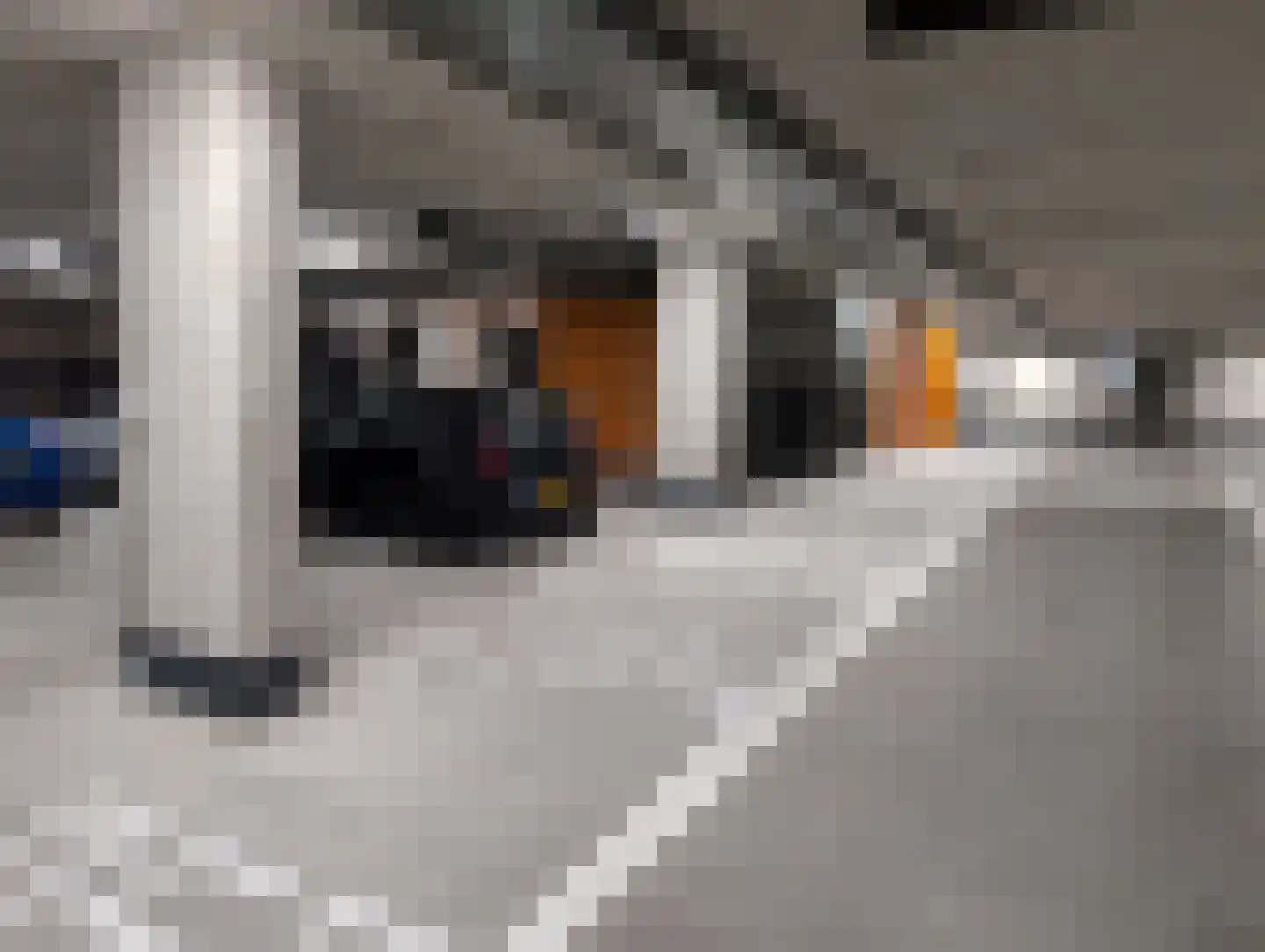Sint-Jobskade 56 P Rotterdam thumbnail 7