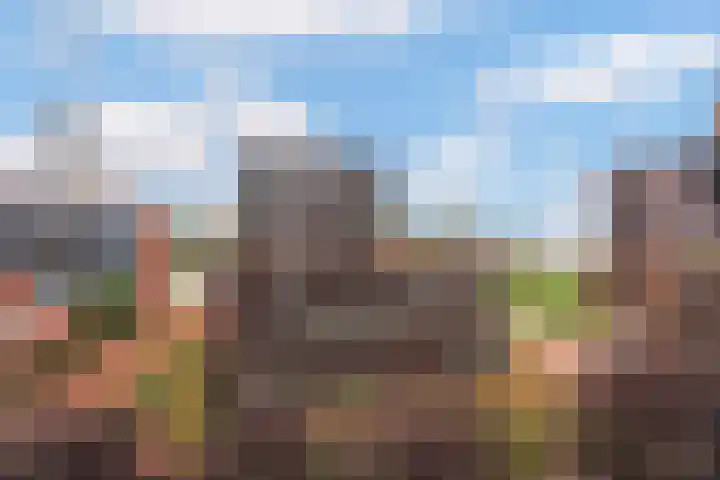 Sint-Jobskade 560 Rotterdam thumbnail 4