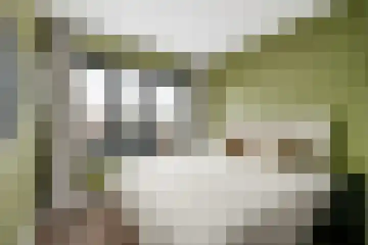 Sint-Jobskade 562 Rotterdam thumbnail 13