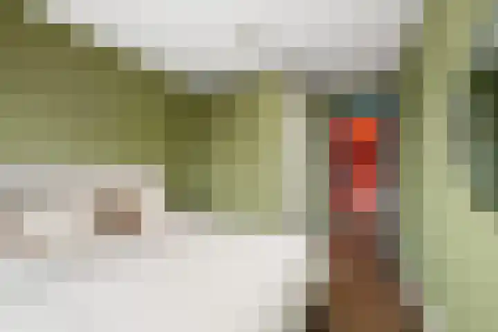 Sint-Jobskade 562 Rotterdam thumbnail 15