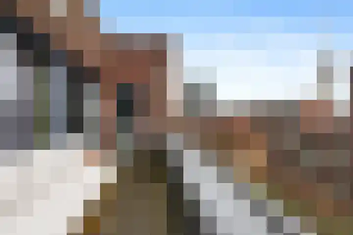 Sint-Jobskade 562 Rotterdam thumbnail 22