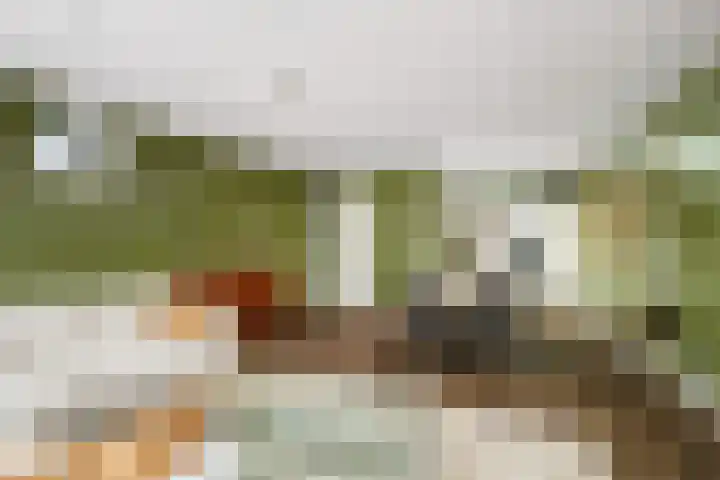 Sint-Jobskade 562 Rotterdam thumbnail 7