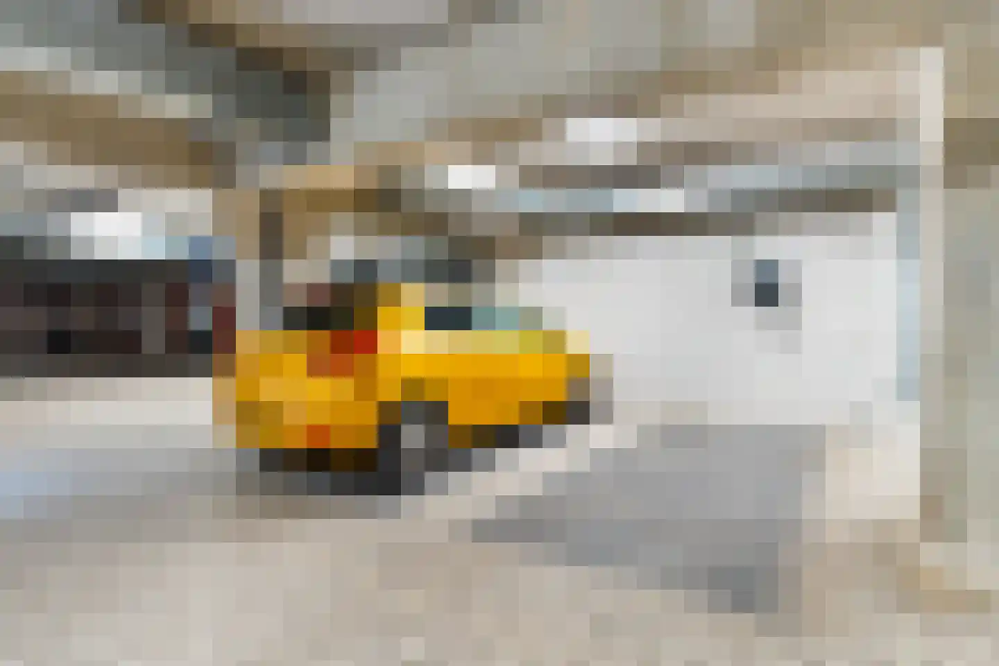 Sint-Jobskade 612 Rotterdam thumbnail 31