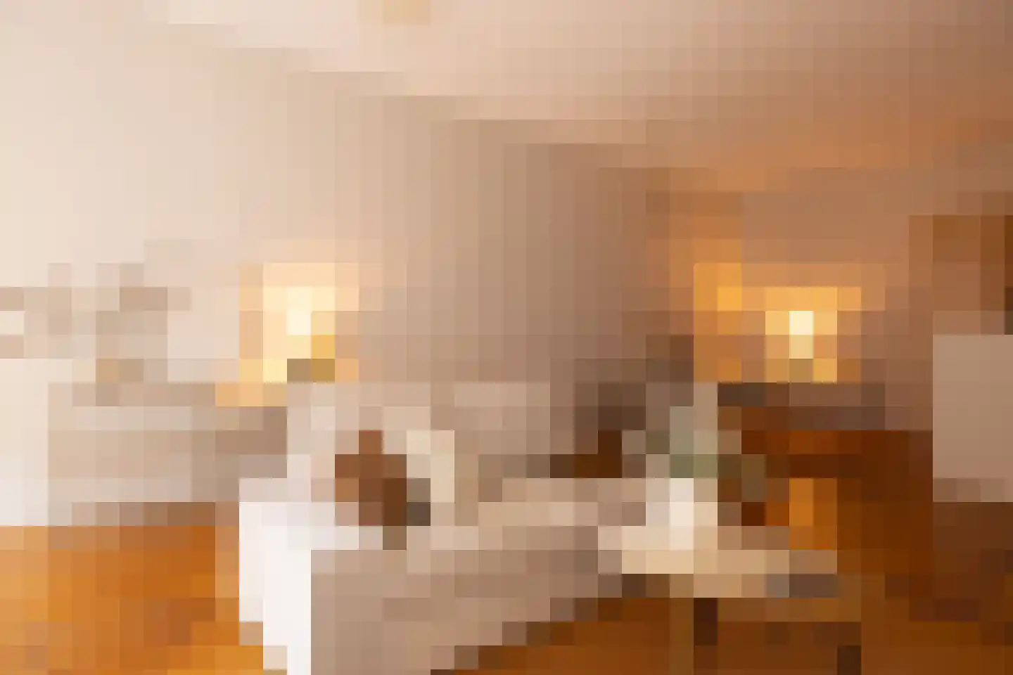 Sint-Jobskade 618 Rotterdam thumbnail 6