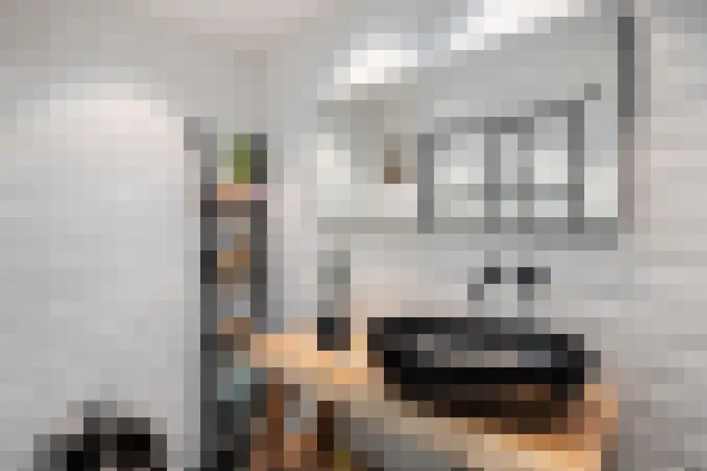 Sint-Jobskade 634 Rotterdam thumbnail 33