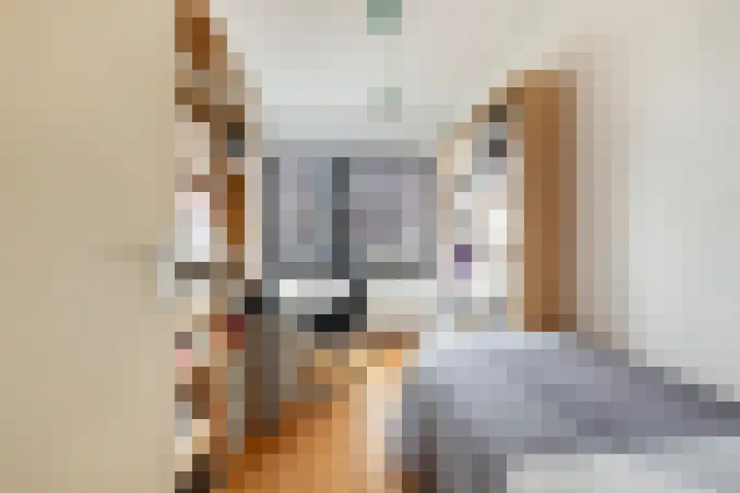 Sint-Jobskade 646 Rotterdam thumbnail 21
