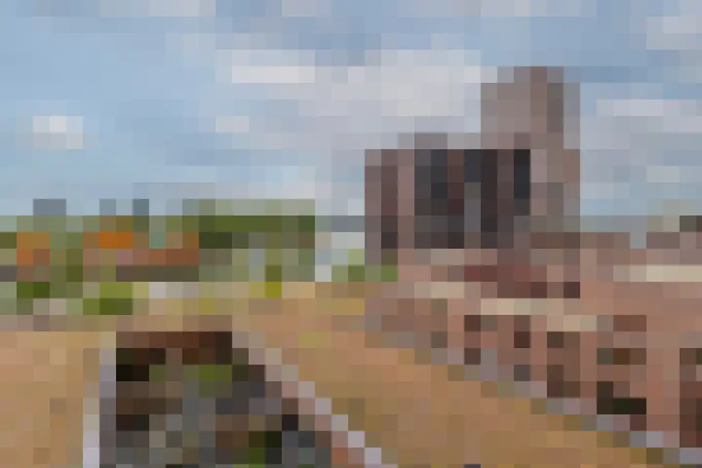 Sint-Jobskade 646 Rotterdam thumbnail 29