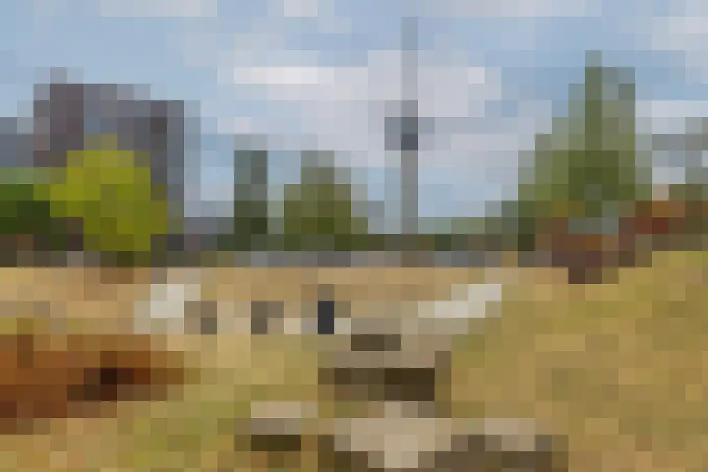 Sint-Jobskade 646 Rotterdam thumbnail 41